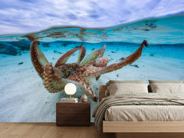 photo-wallpaper-octopus-ii