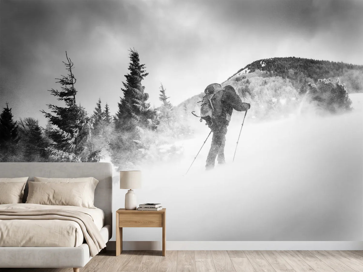 photo-wallpaper-searching-for-a-path