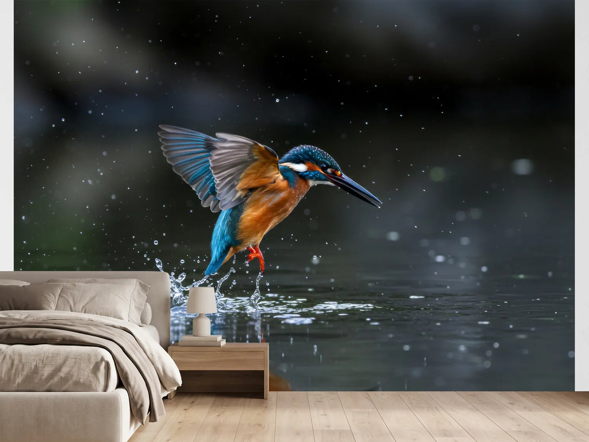 photo-wallpaper-kingfisher-rising-from-the-water-with-glittering-droplets