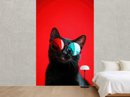 photo-wallpaper-black-cat-in-round-sunglasses-against-vivid-red