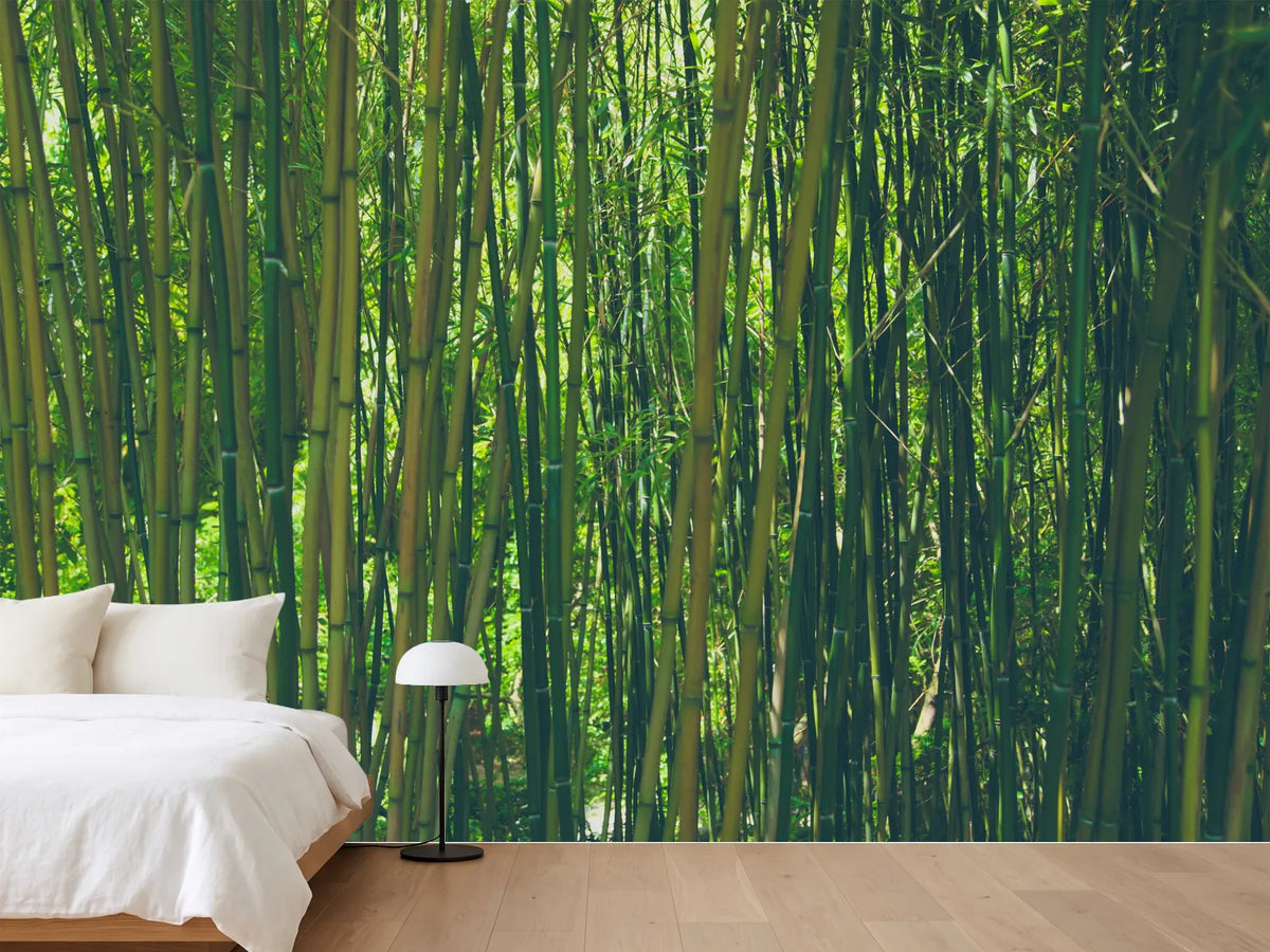 photo-wallpaper-in-the-middle-of-the-bamboo