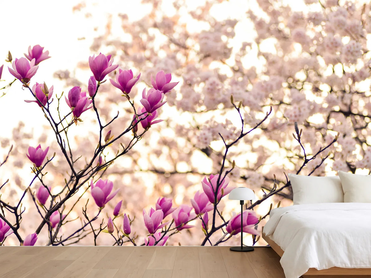 photo-wallpaper-beautiful-magnolia-xl