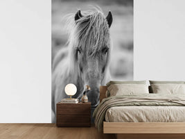 photo-wallpaper-horse-being-at-the-corridor