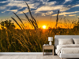 photo-wallpaper-the-sunset-on-the-field
