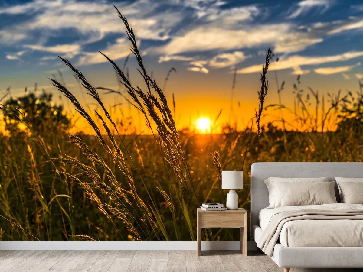 photo-wallpaper-the-sunset-on-the-field