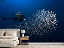photo-wallpaper-alvin-shoal