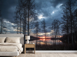 photo-wallpaper-trees-at-the-lake