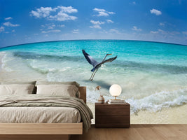 photo-wallpaper-takeoff-x