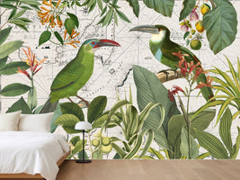 photo-wallpaper-tropical-birds-vintage-map