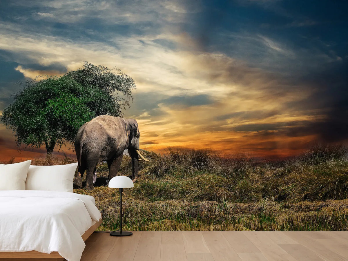 photo-wallpaper-the-elephant-in-the-sunset