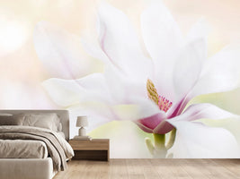 photo-wallpaper-purity-x