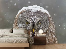 photo-wallpaper-great-grey-owl-winter-portrait