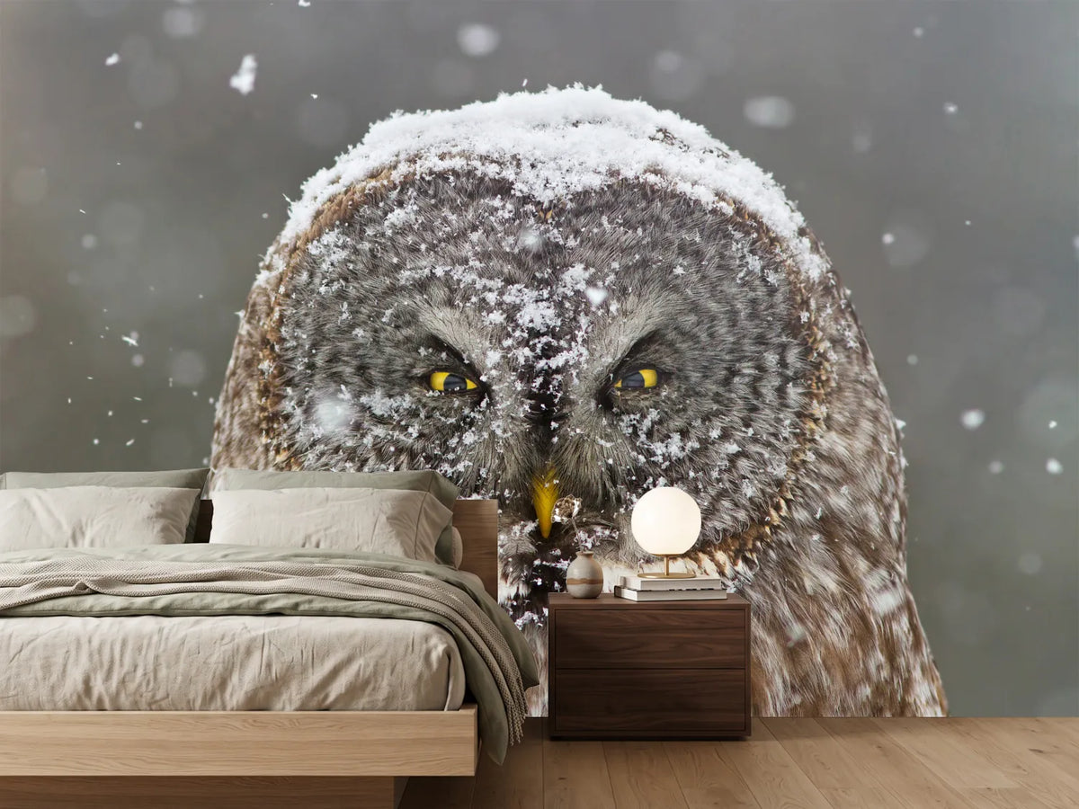 photo-wallpaper-great-grey-owl-winter-portrait