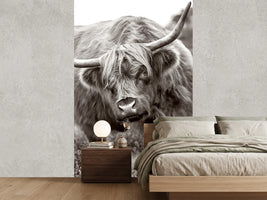 photo-wallpaper-the-bull-x