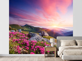 photo-wallpaper-summer-landscape-with-flowers-in-the-mountains