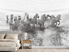 photo-wallpaper-illusion-of-power