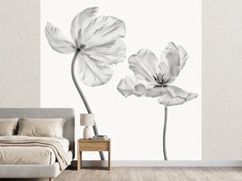 photo-wallpaper-same-tulip-front-and-backview