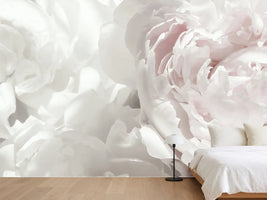 photo-wallpaper-soft-pink-peonies