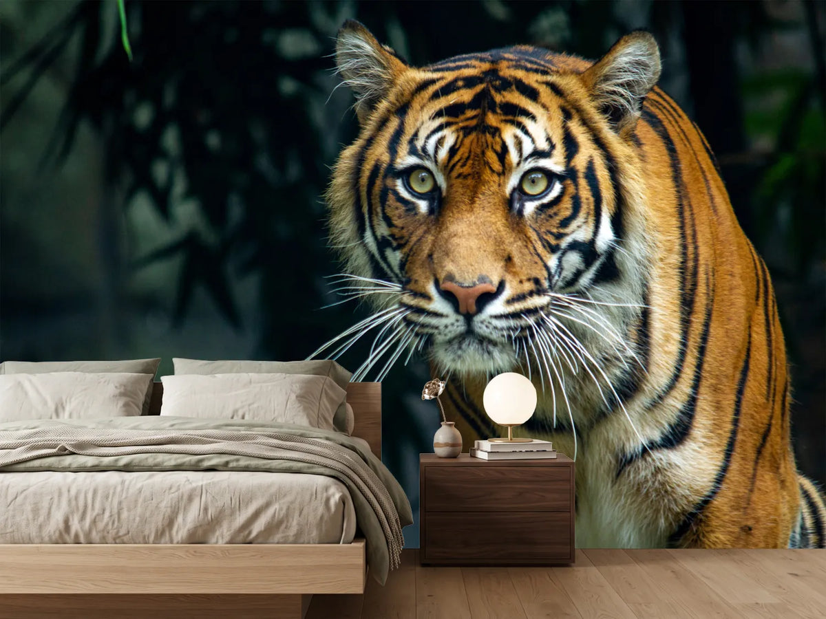 photo-wallpaper-proud-sumatran-tiger-prowling-towards-the-camera