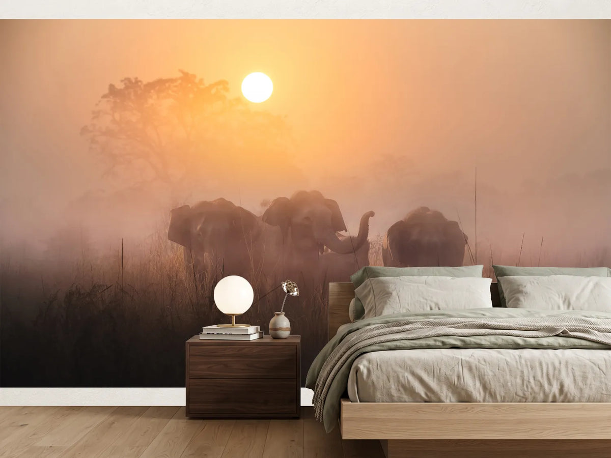 photo-wallpaper-elephants-in-golden-mist
