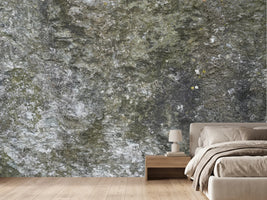 photo-wallpaper-mossy-rock-texture