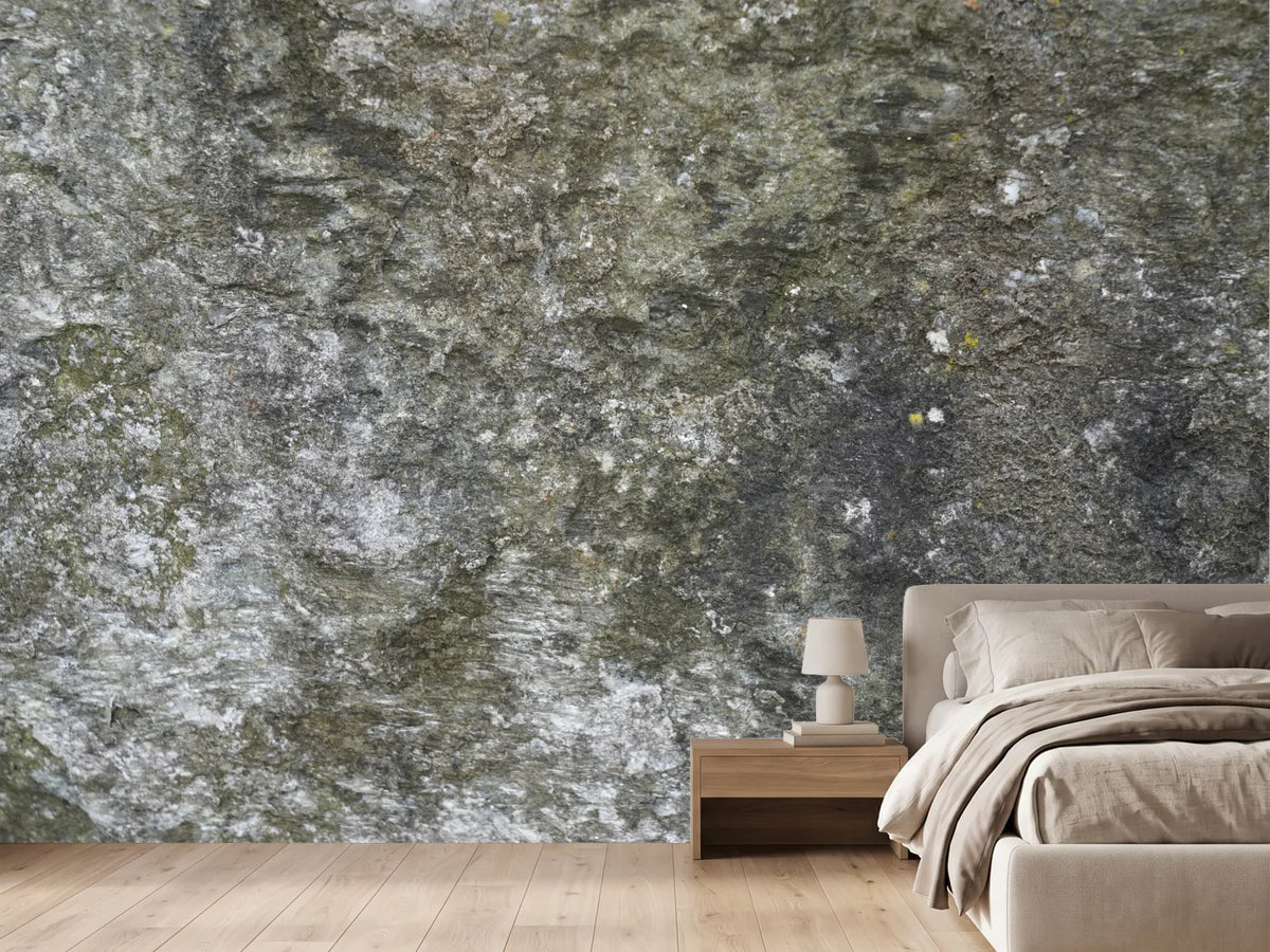 photo-wallpaper-mossy-rock-texture