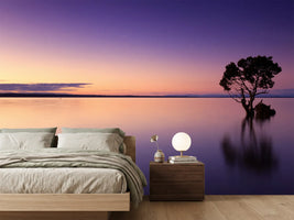 photo-wallpaper-sunset-on-the-tree-in-the-water