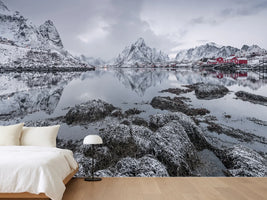 photo-wallpaper-reine-x