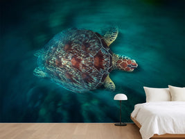 photo-wallpaper-valocity-turtle