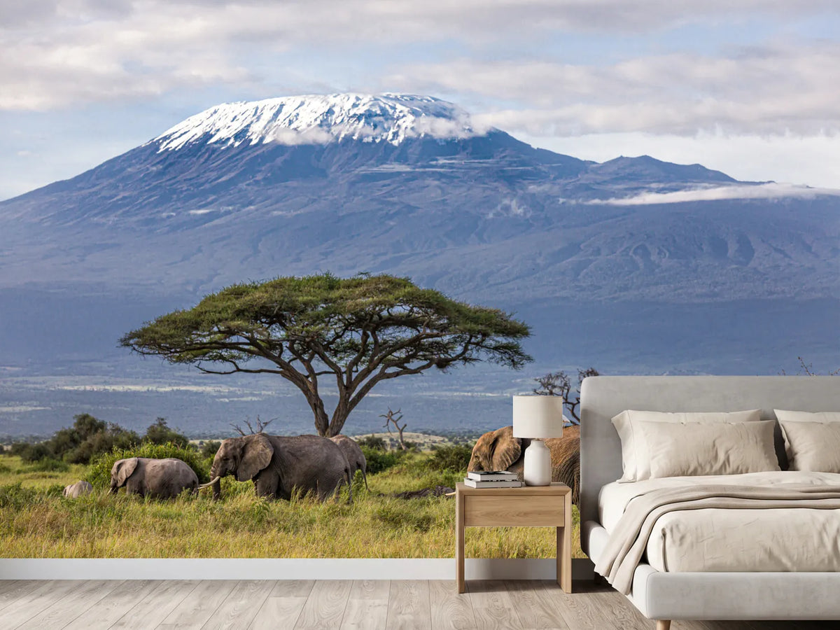 photo-wallpaper-3-elephants-in-front-of-kilimanjaro
