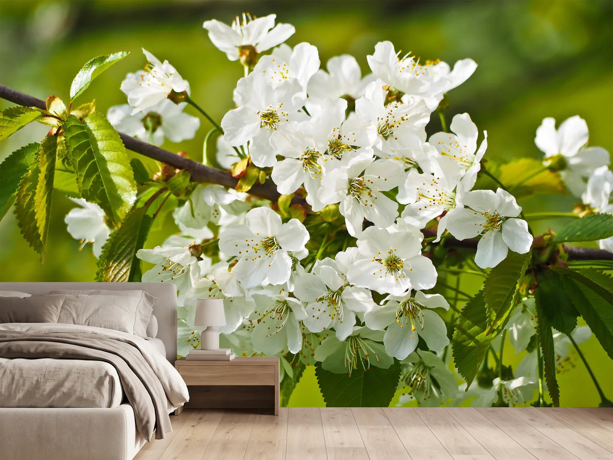 photo-wallpaper-white-flowers-in-xl