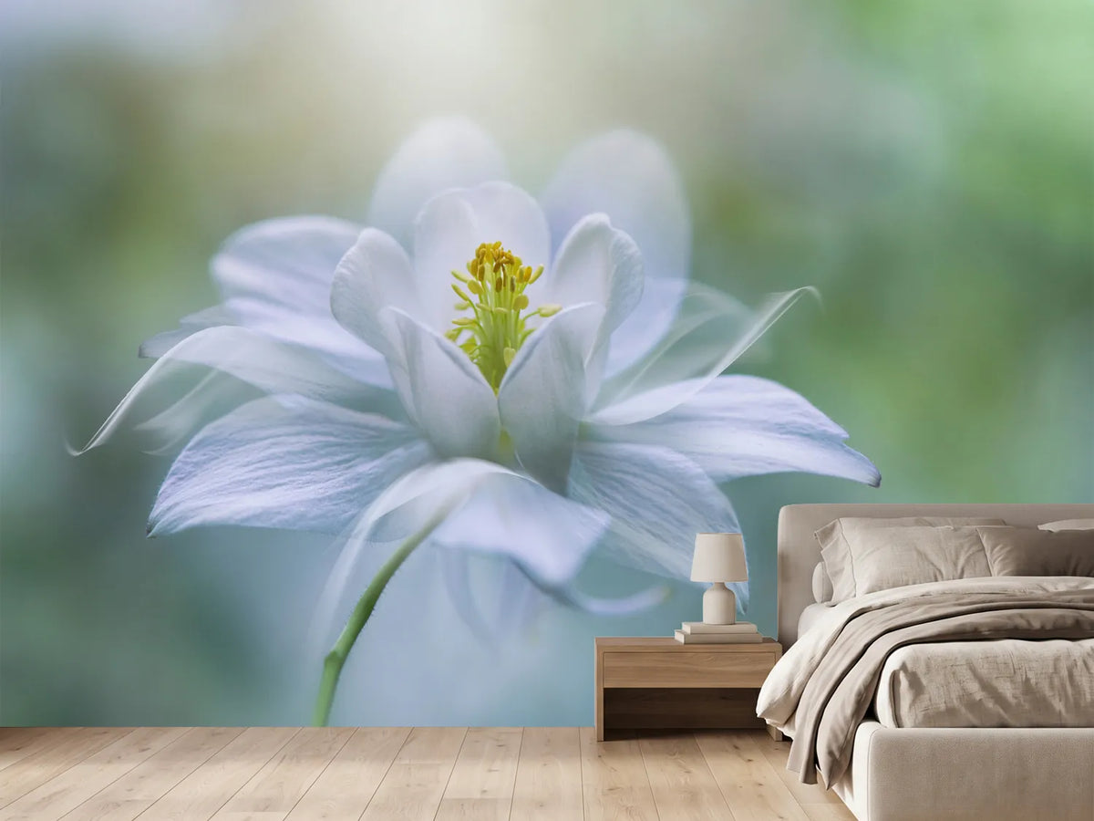 photo-wallpaper-purity-xup