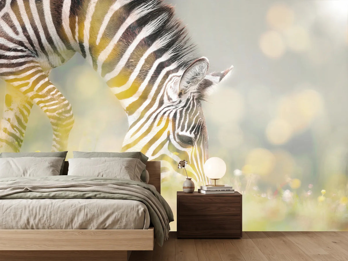 photo-wallpaper-peaceful-zebra-foal