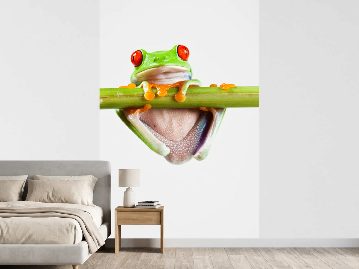 photo-wallpaper-frog-acrobatics