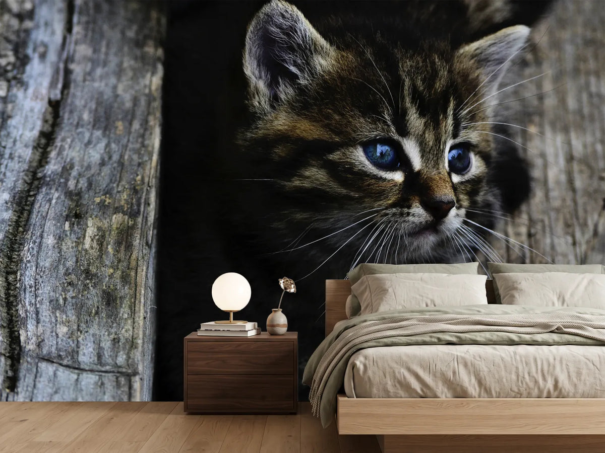 photo-wallpaper-cats-child
