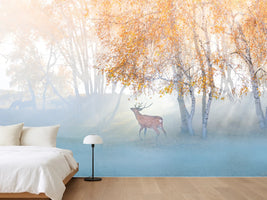 photo-wallpaper-elk-lost-in-mist-x