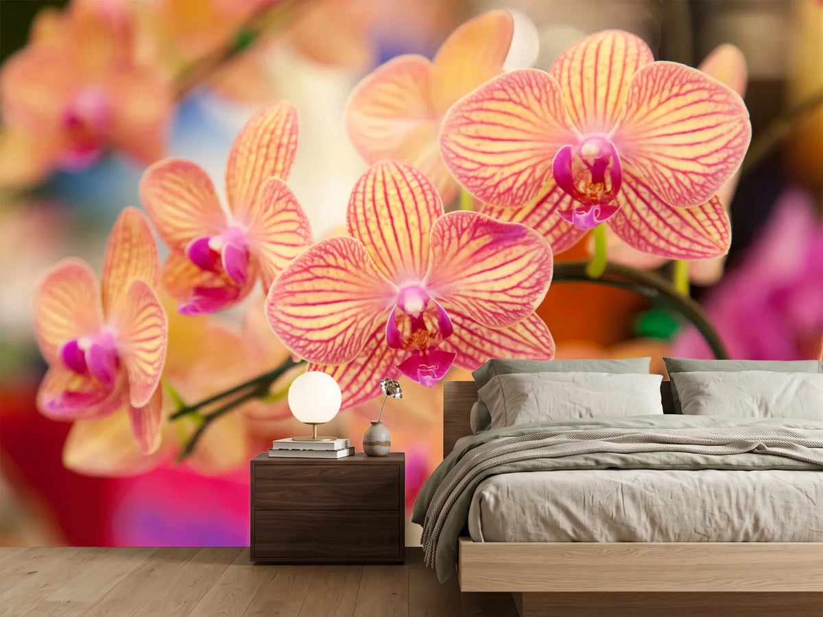 photo-wallpaper-exotic-orchids