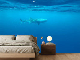 photo-wallpaper-the-whale-shark