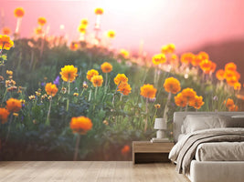 photo-wallpaper-the-mountain-meadow