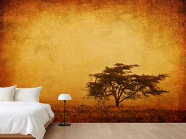 photo-wallpaper-sunset-mood
