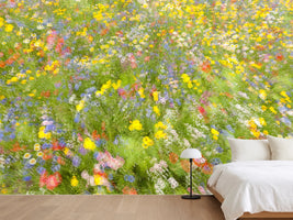 photo-wallpaper-summer-field-flowers-x