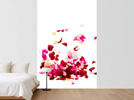 photo-wallpaper-bed-of-rose-foliage