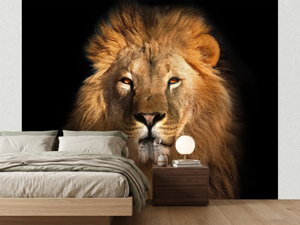 photo-wallpaper-lion-king-isolated-on-black