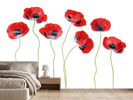 photo-wallpaper-ladybird-poppies