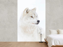 photo-wallpaper-portrait-of-an-arctic-wolf-x