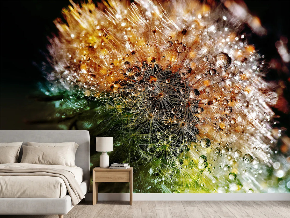 photo-wallpaper-dandelion-in-the-morning-dew