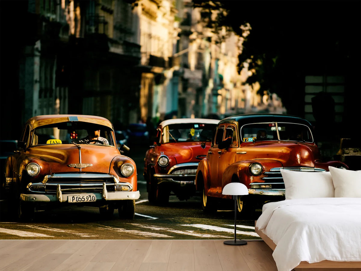 photo-wallpaper-come-with-me-in-the-morning-light