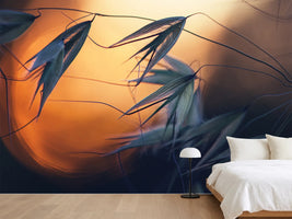 photo-wallpaper-sunset-p