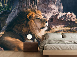 photo-wallpaper-lion-is-sunning-himself