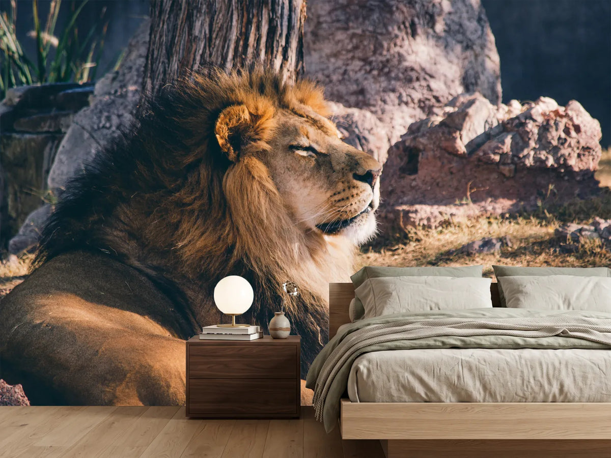 photo-wallpaper-lion-is-sunning-himself